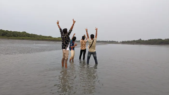 Affordable Hotels in Sundarban-Sundarban Tulip Homestay