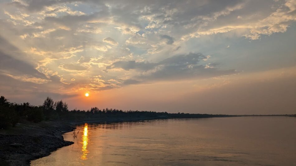 Sundarbans’ Wonders: Your Ultimate Stay & Travel Guide with Sundarban Tulip Homestay